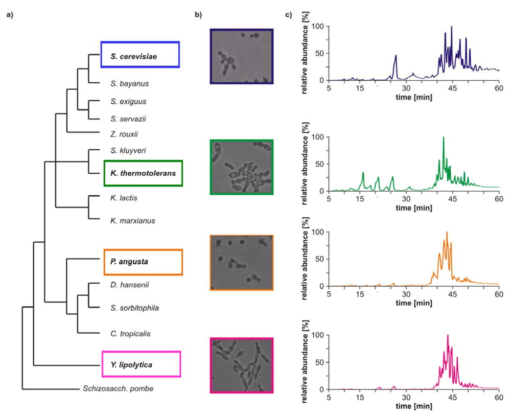 Metabolites 02 00254 g001 1024