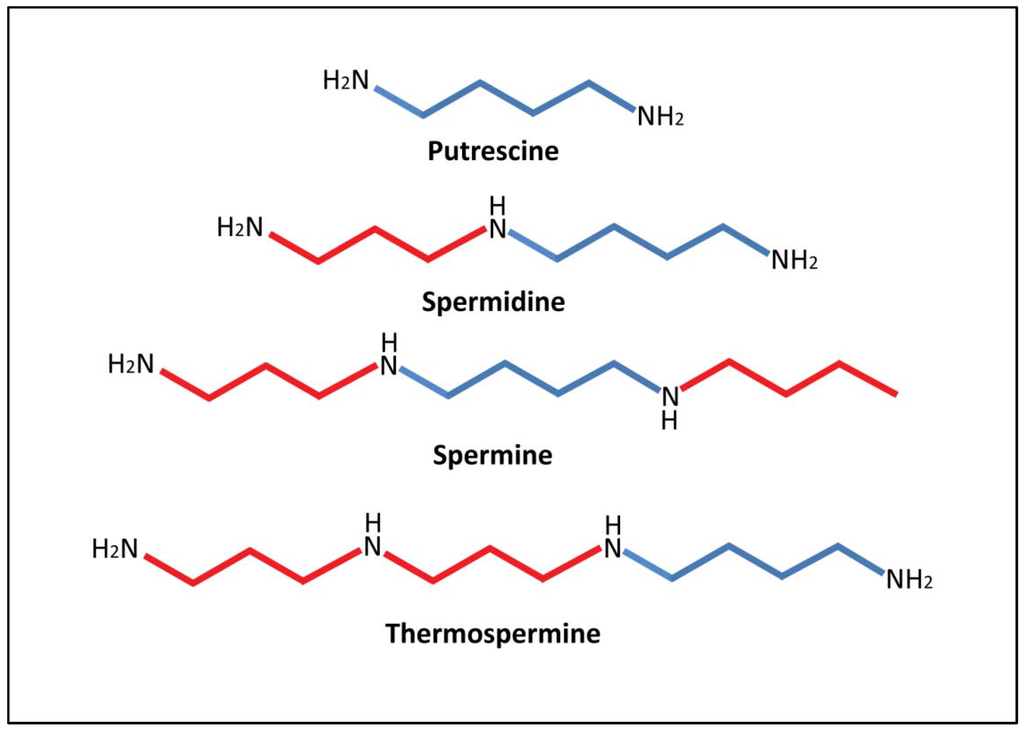 Metabolites 02 00516 g001 1024