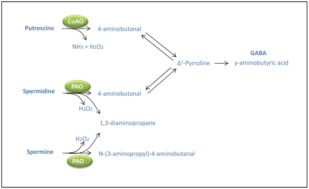 Metabolites 02 00516 g003 1024