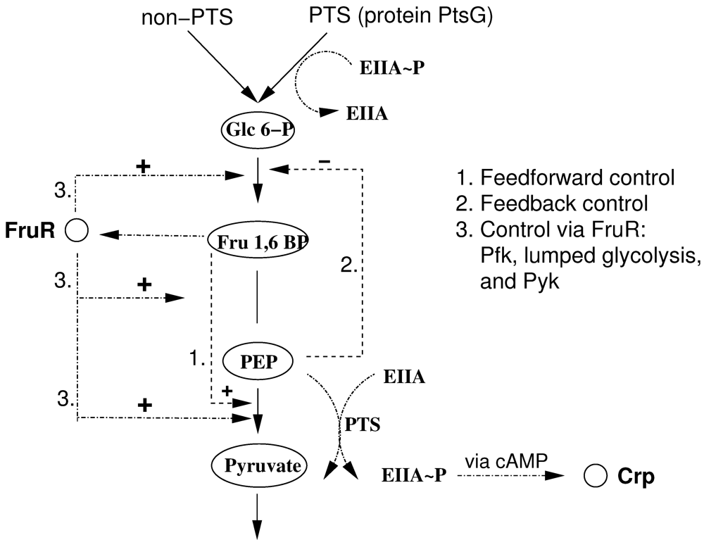Metabolites 02 00844 g002