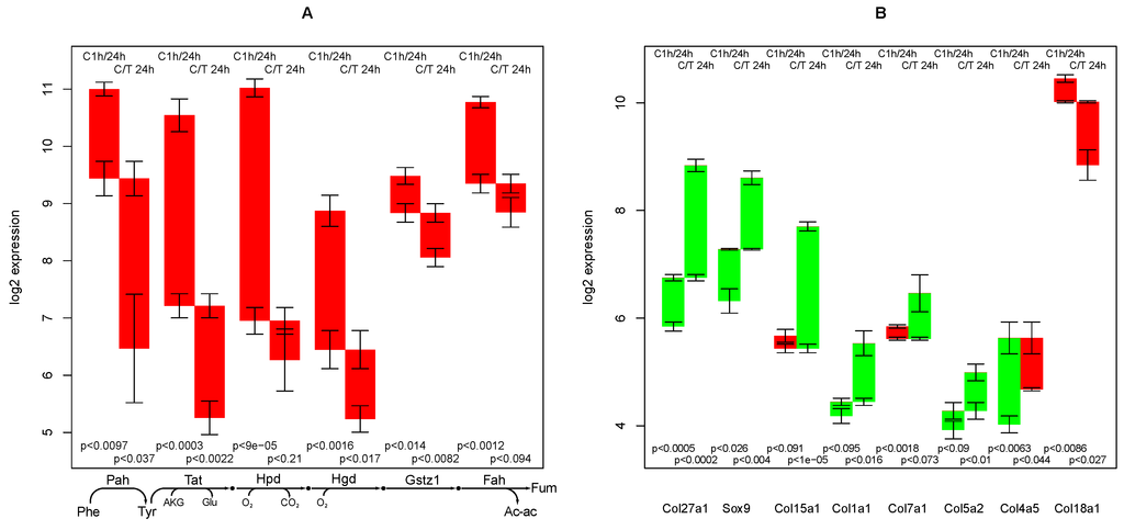 Metabolites 02 00983 g002 1024