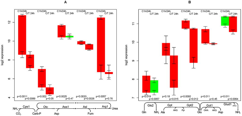 Metabolites 02 00983 g004 1024