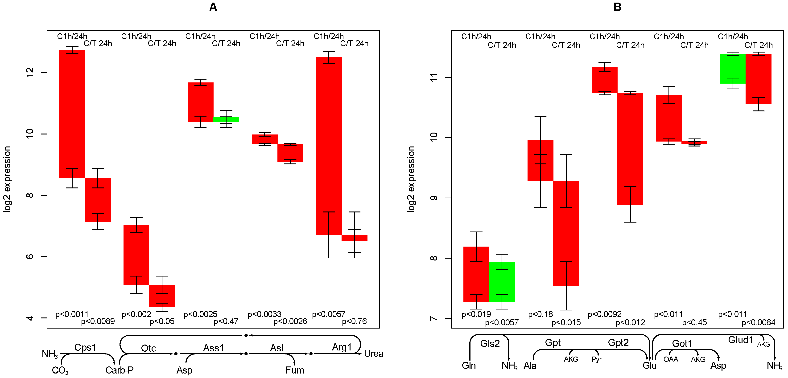 Metabolites 02 00983 g004