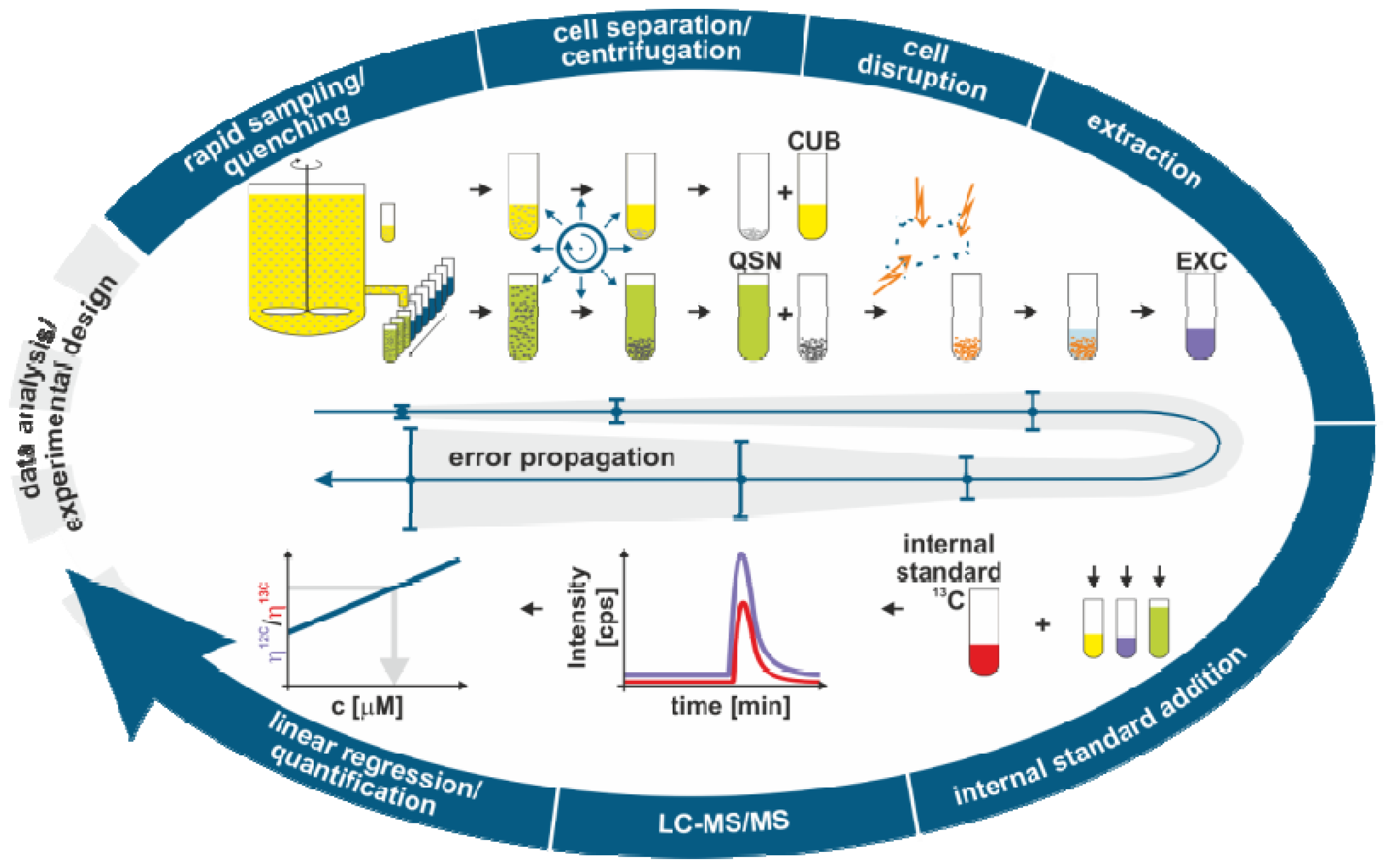 Metabolites 02 01012 g002