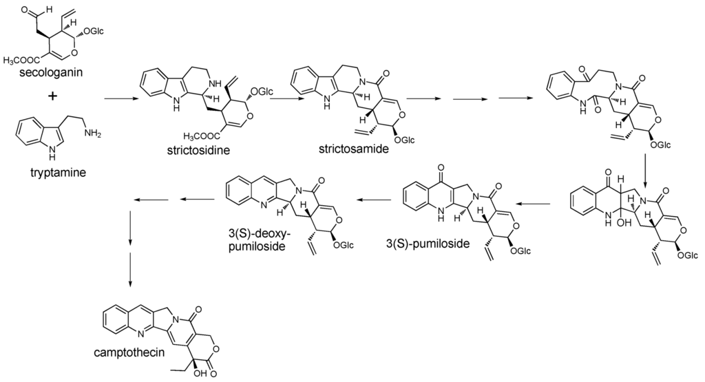 Metabolites 02 01031 g002 1024