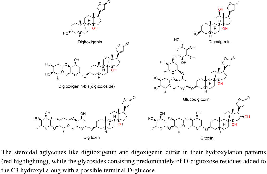 Metabolites 02 01031 g011 1024