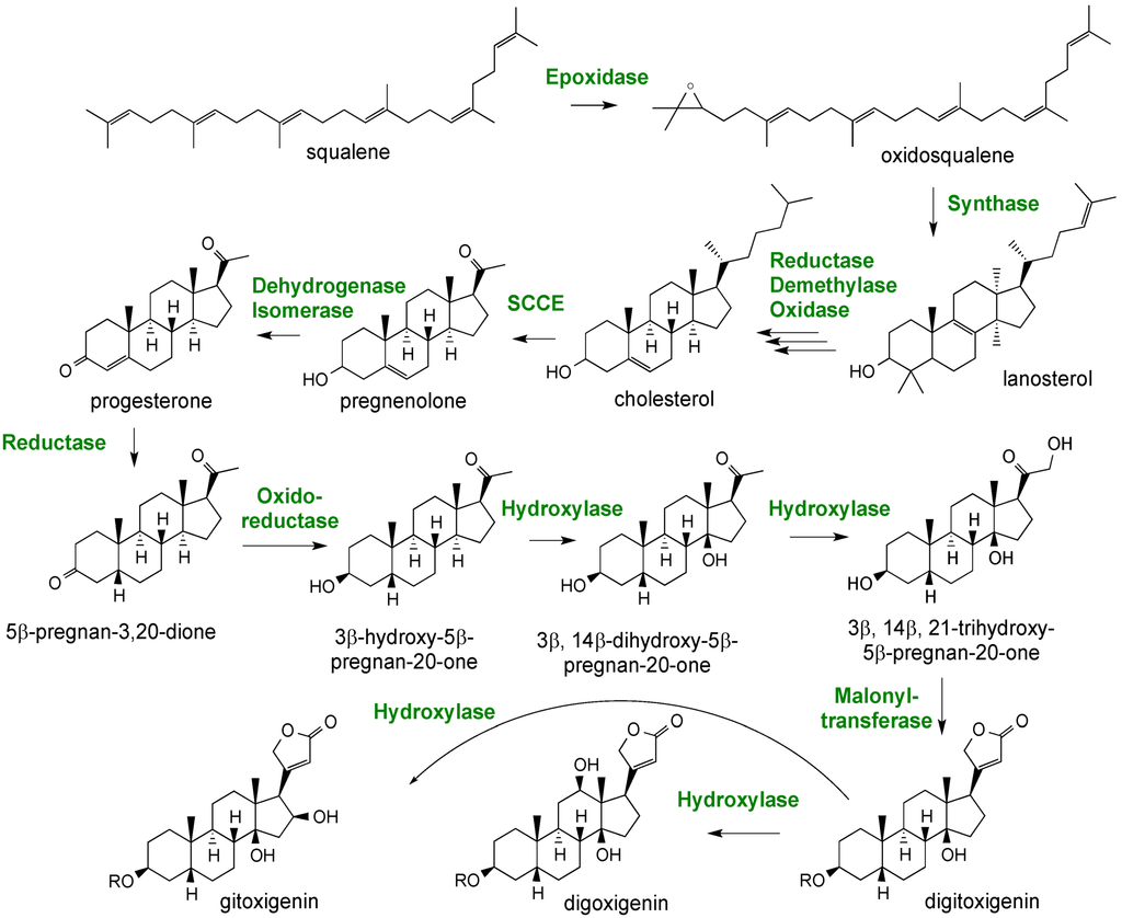 Metabolites 02 01031 g012 1024