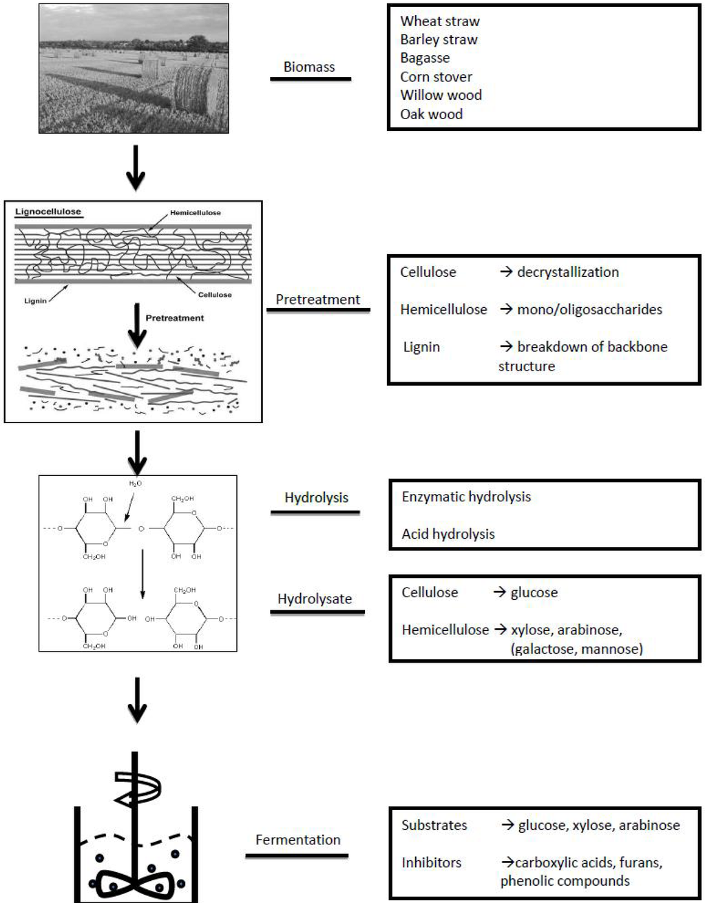 Metabolites 03 00119 g001 1024