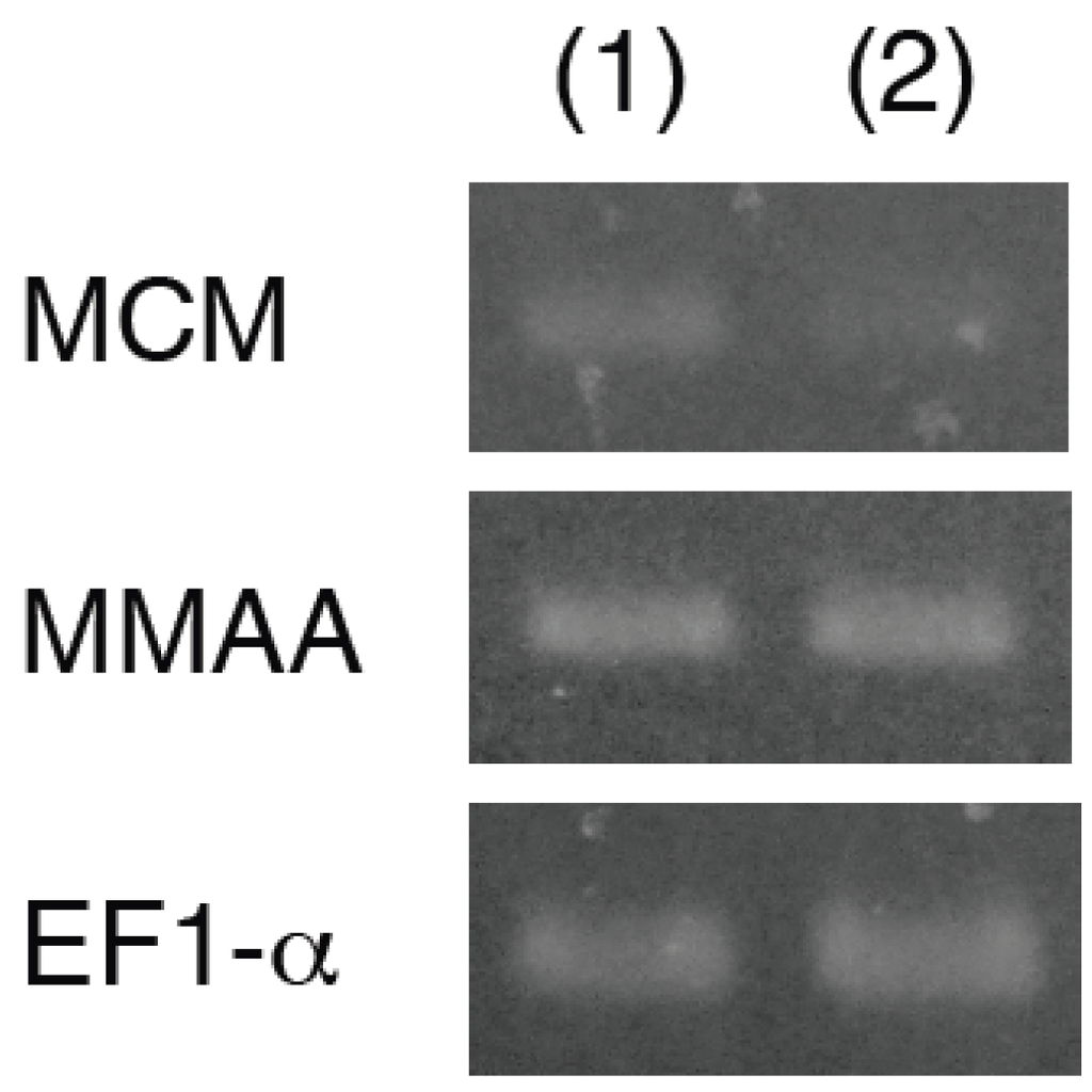Metabolites 03 00144 g003 1024