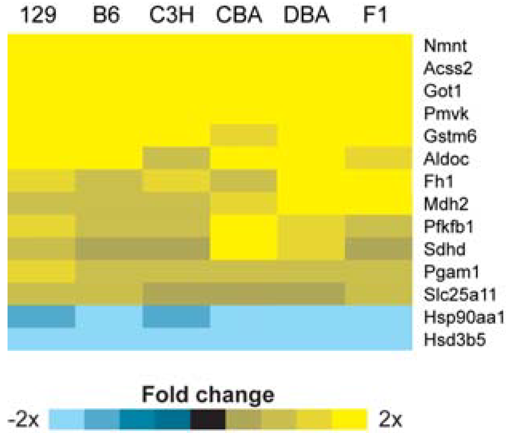 Metabolites 03 00881 g002 1024