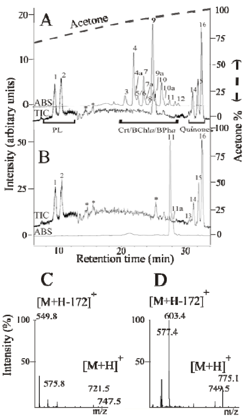 Metabolites 03 00912 g001 1024