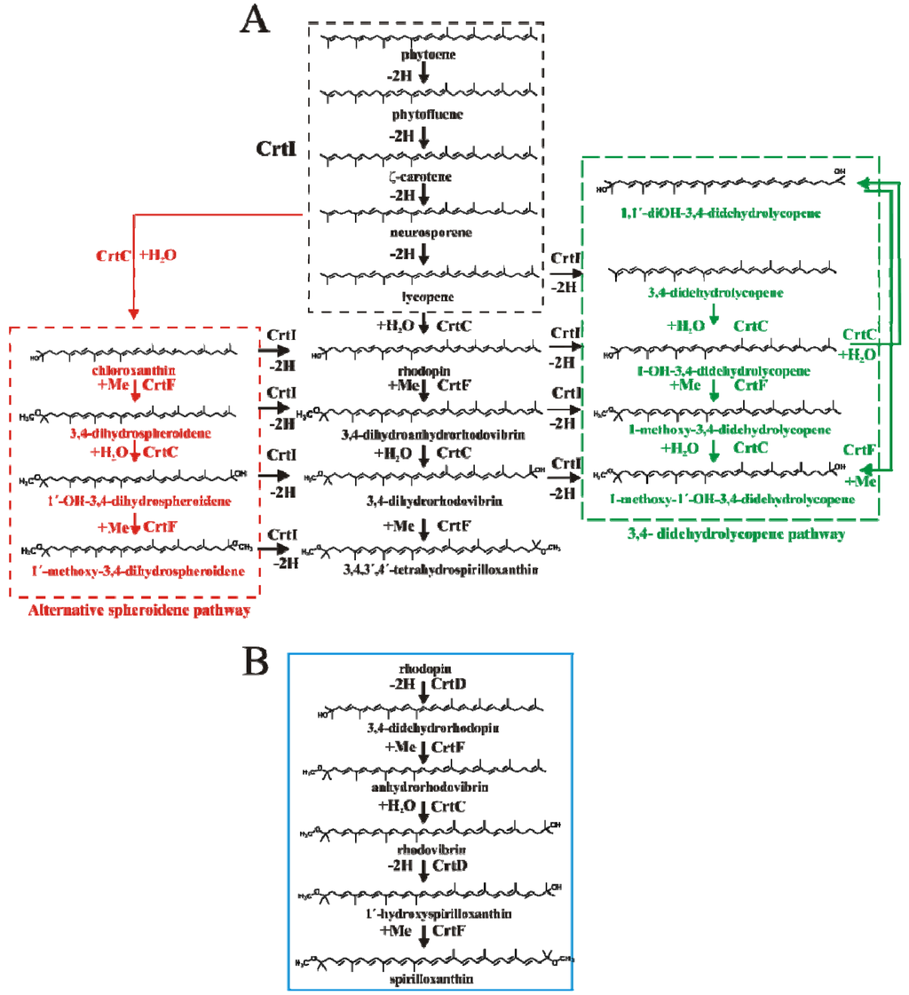 Metabolites 03 00912 g002 1024