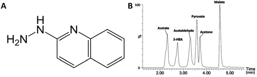 Metabolites 03 00993 g001 1024