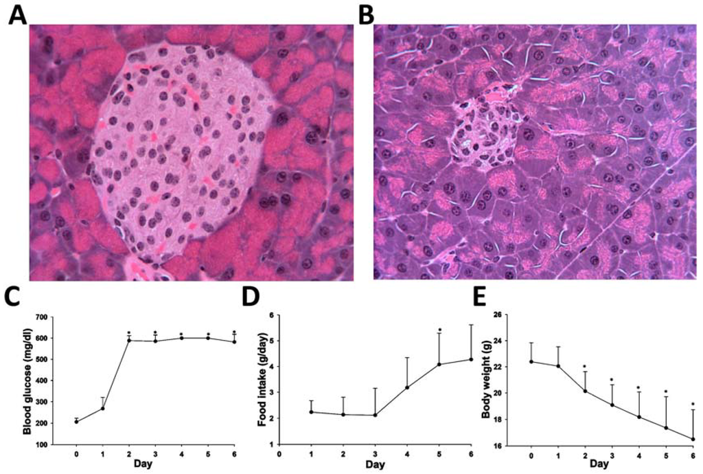 Metabolites 03 00993 g005 1024
