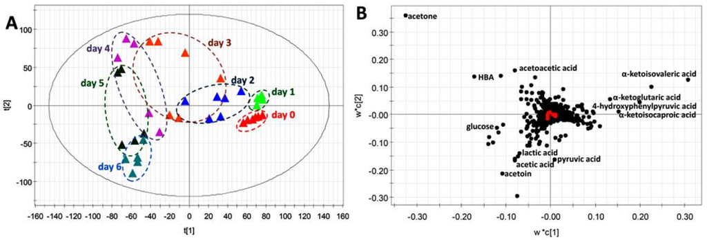 Metabolites 03 00993 g006 1024
