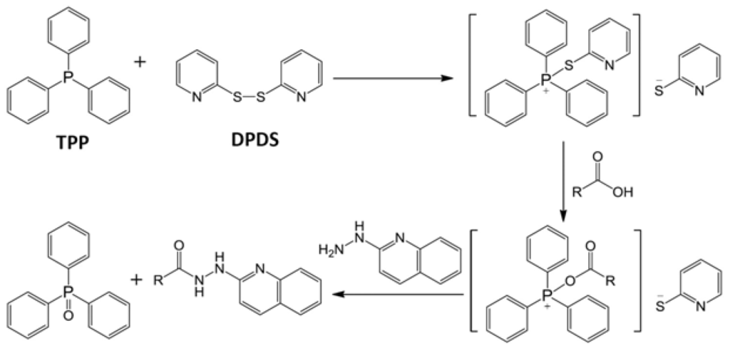 Metabolites 03 00993 g008 1024
