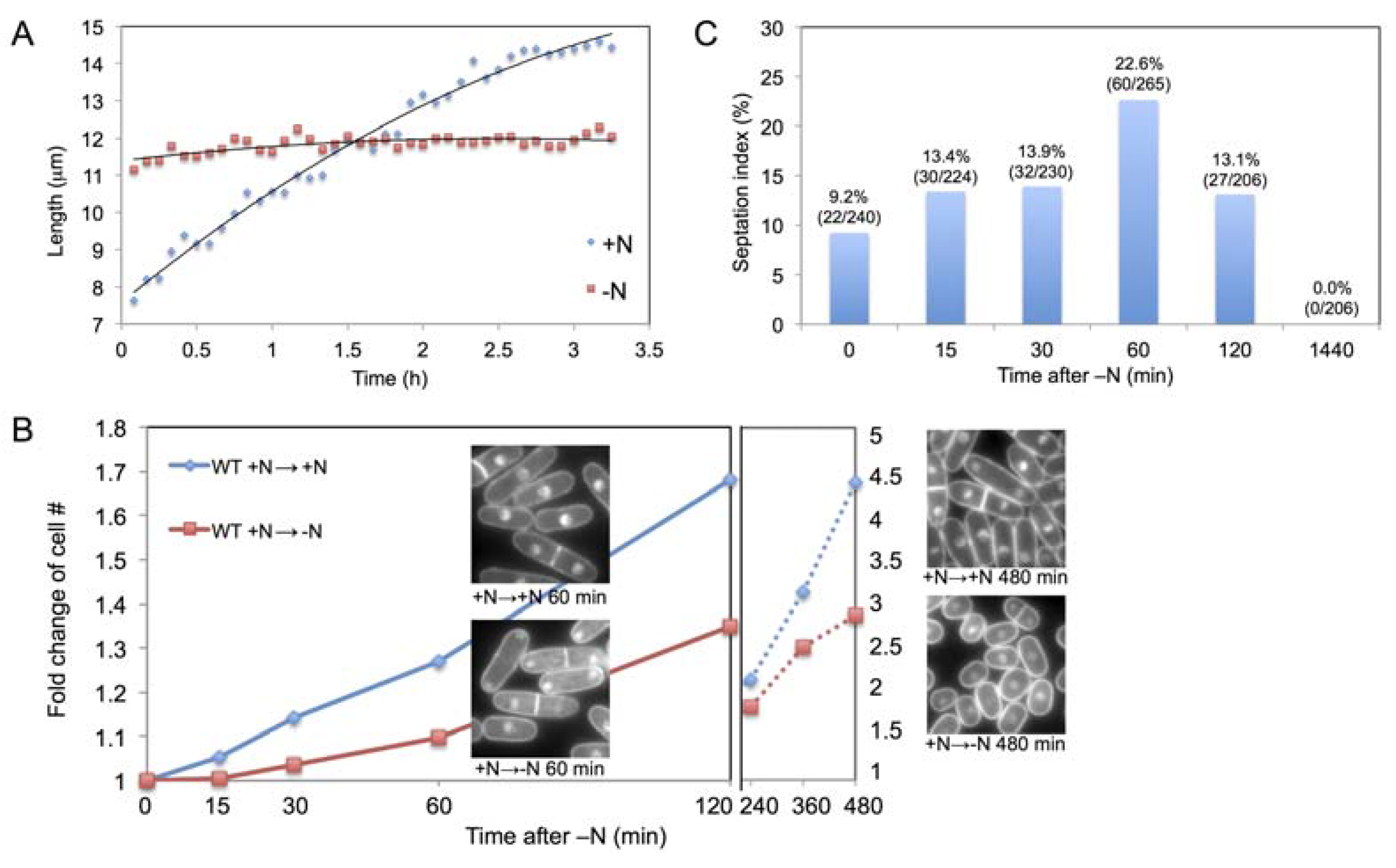 Metabolites 03 01118 g001