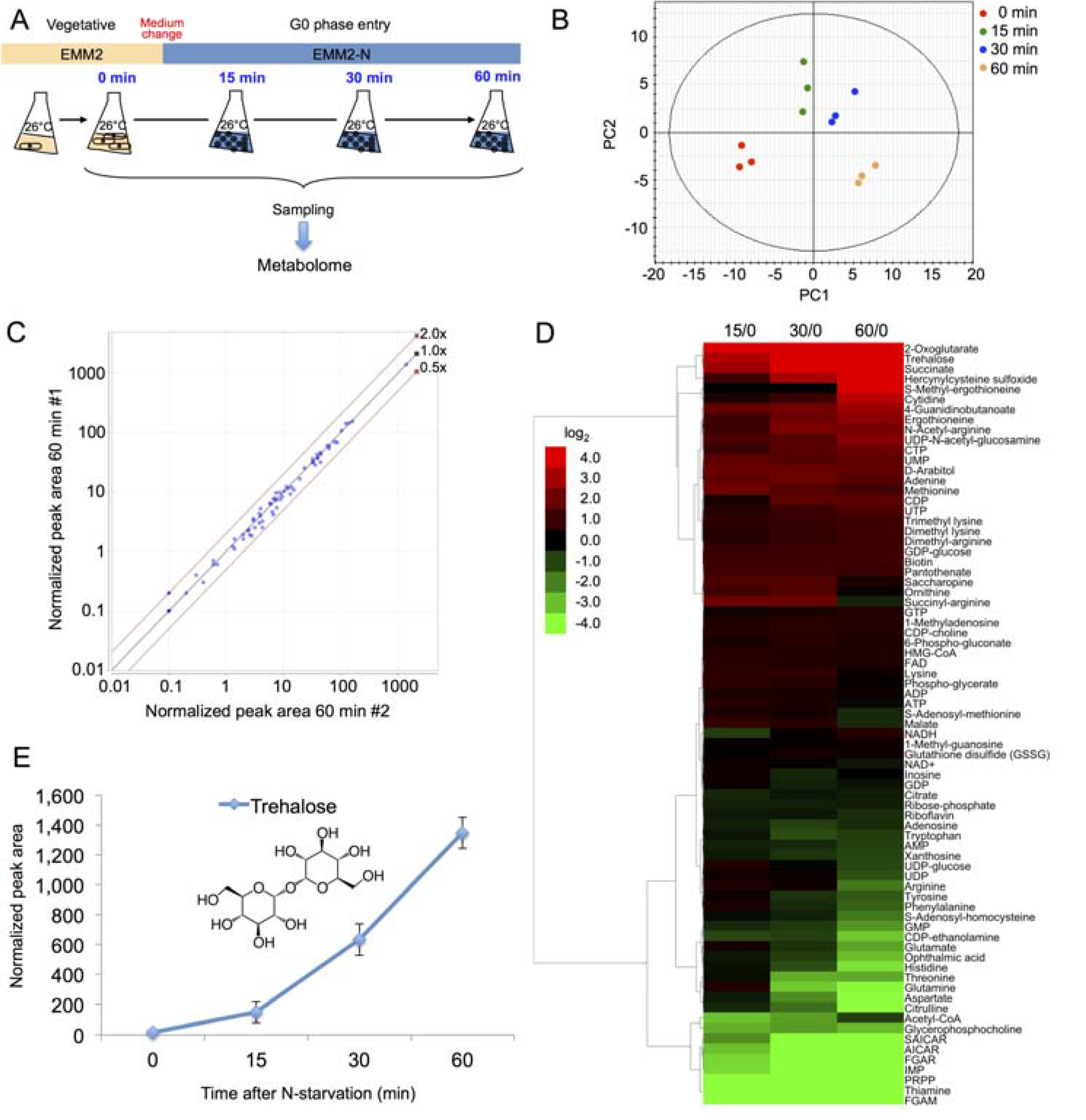 Metabolites 03 01118 g002