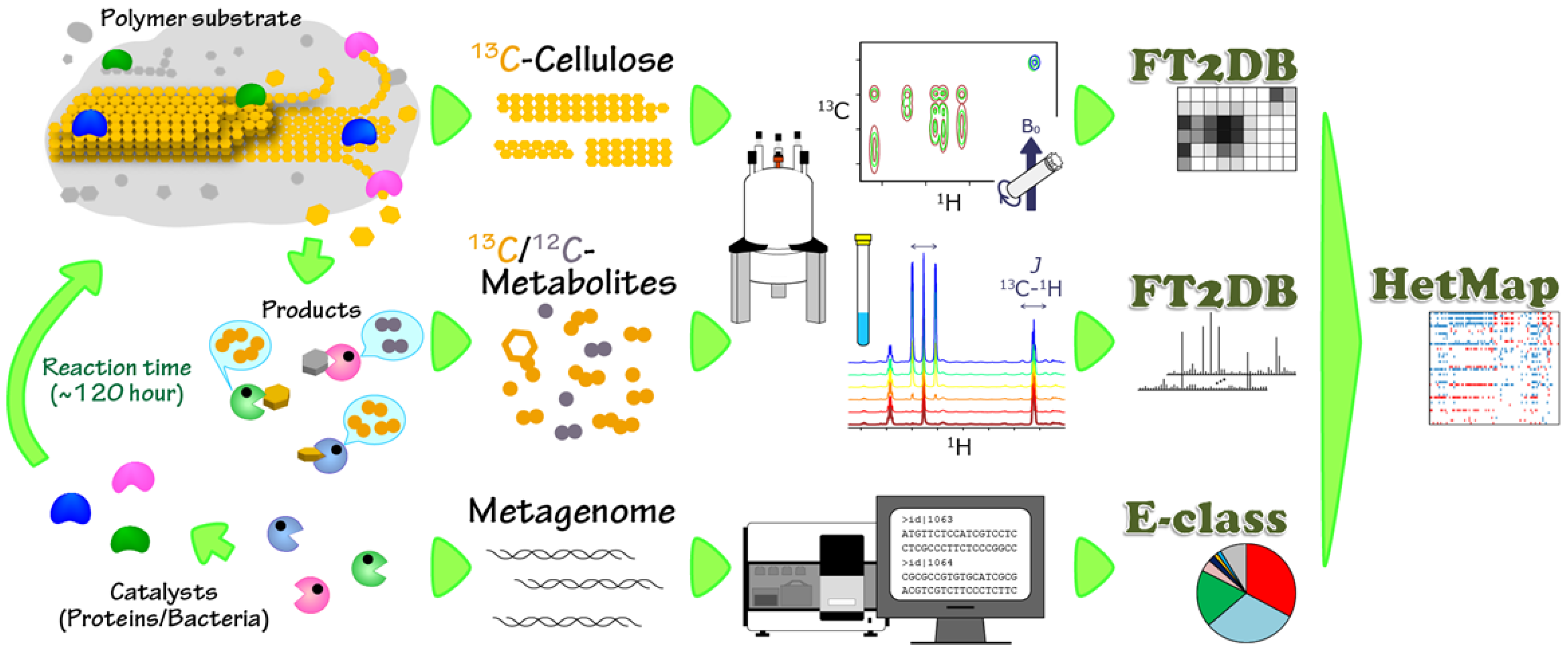 Metabolites 04 00036 g001