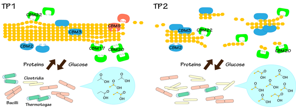 Metabolites 04 00036 g006 1024