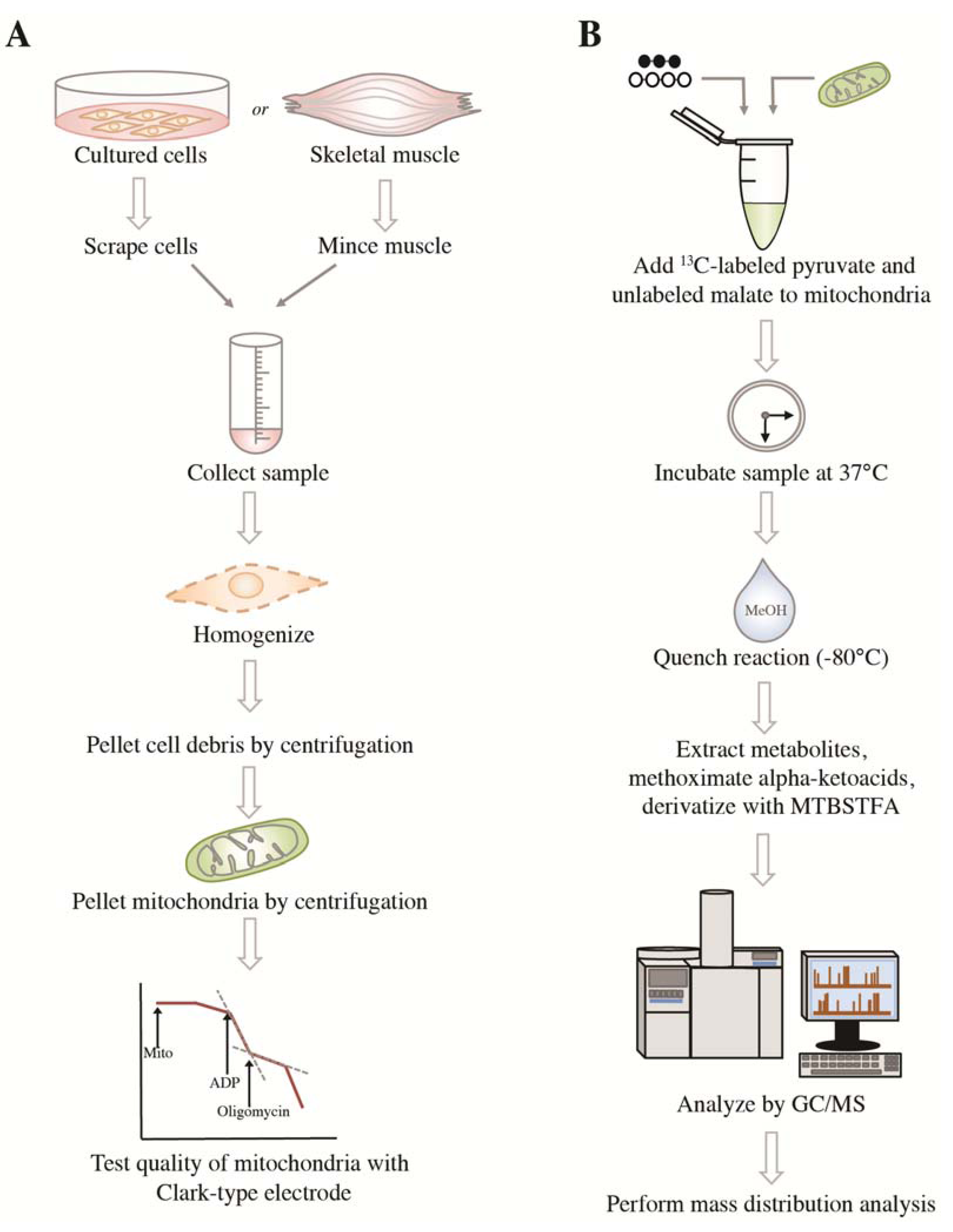 Metabolites 04 00166 g001