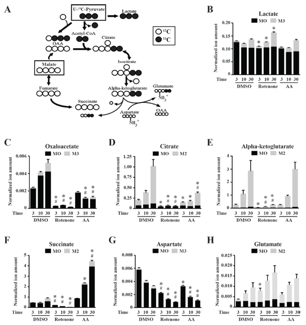 Metabolites 04 00166 g003 1024
