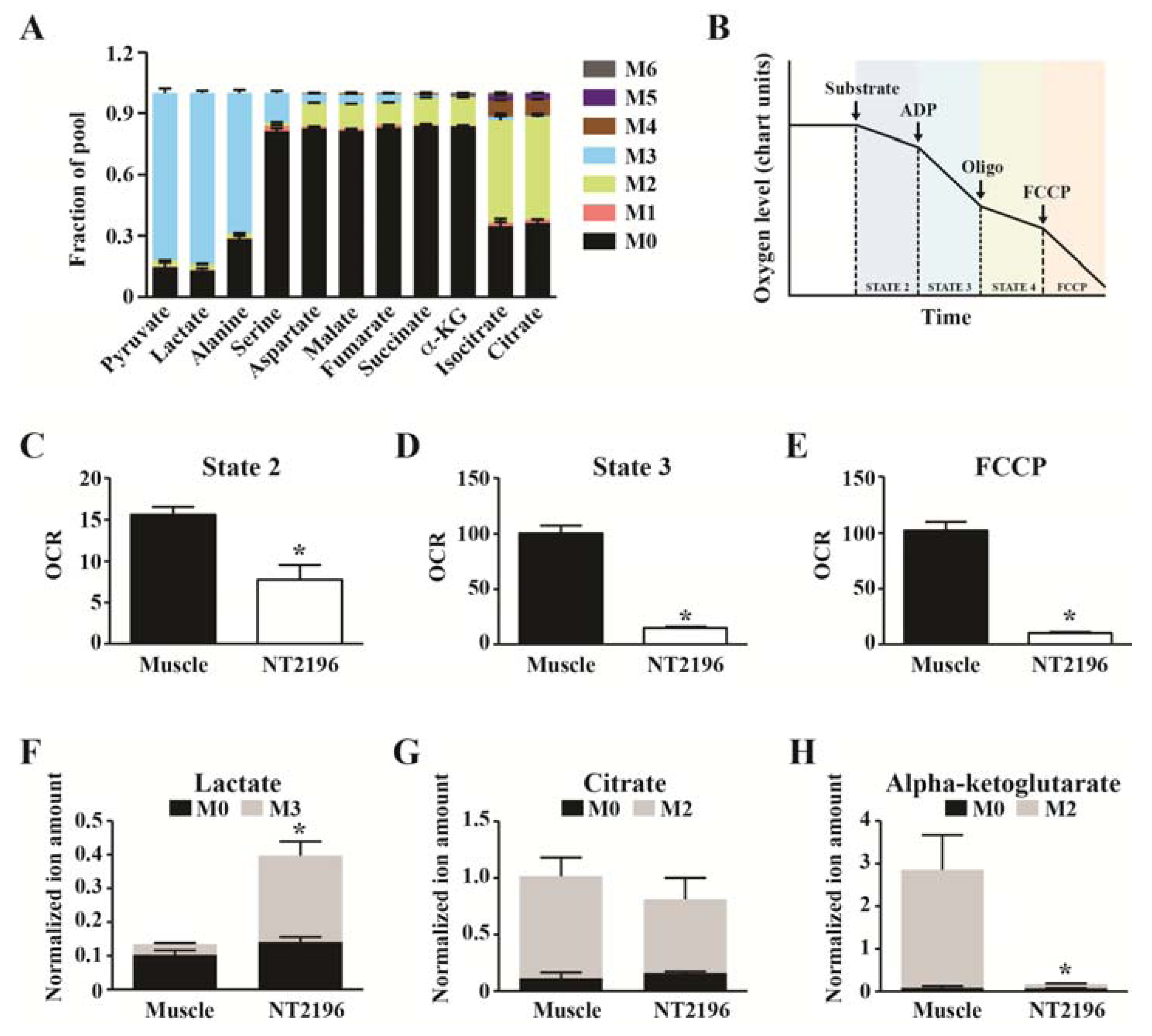 Metabolites 04 00166 g004