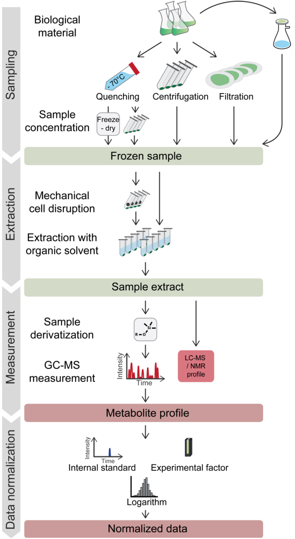 Metabolites 04 00184 g001 1024