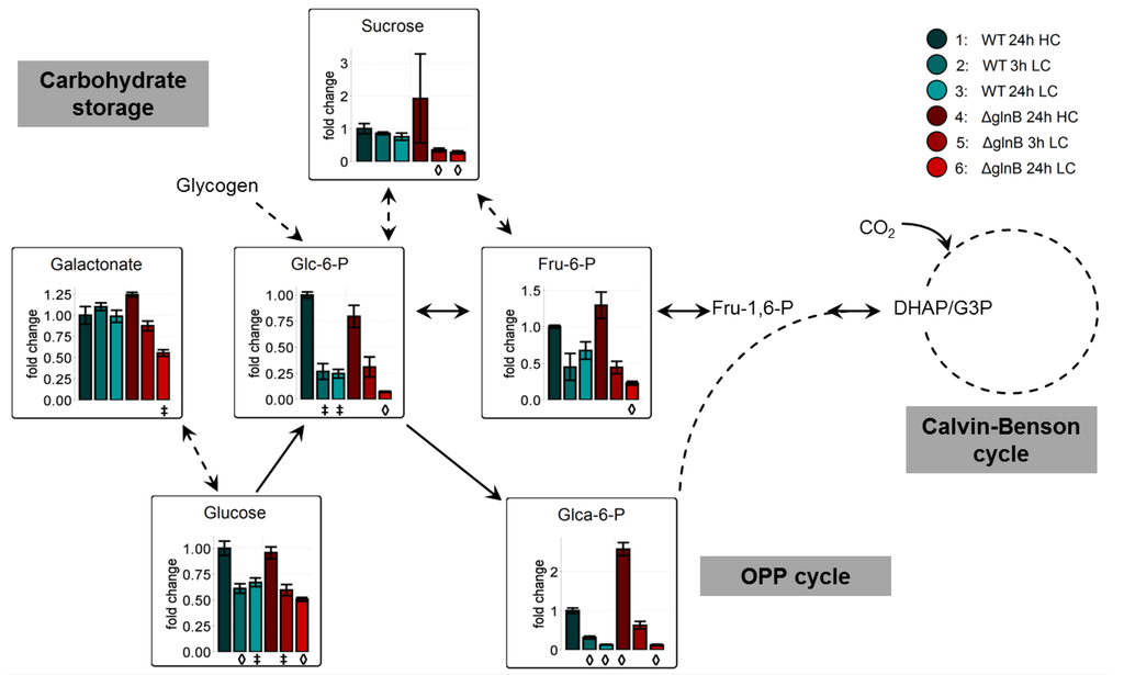 Metabolites 04 00232 g004 1024