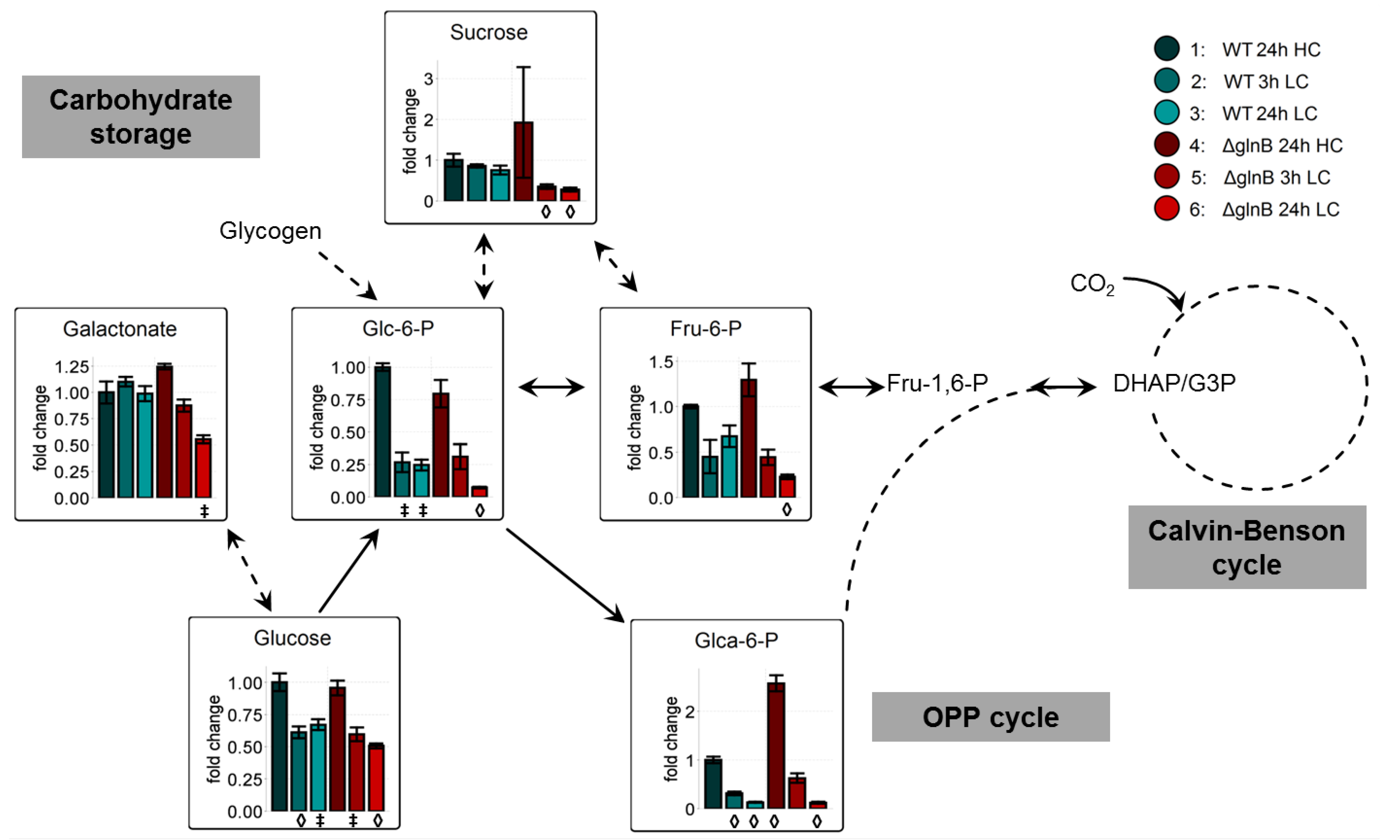 Metabolites 04 00232 g004
