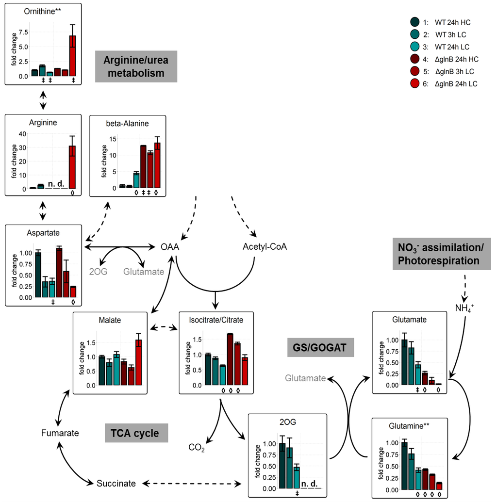 Metabolites 04 00232 g005 1024