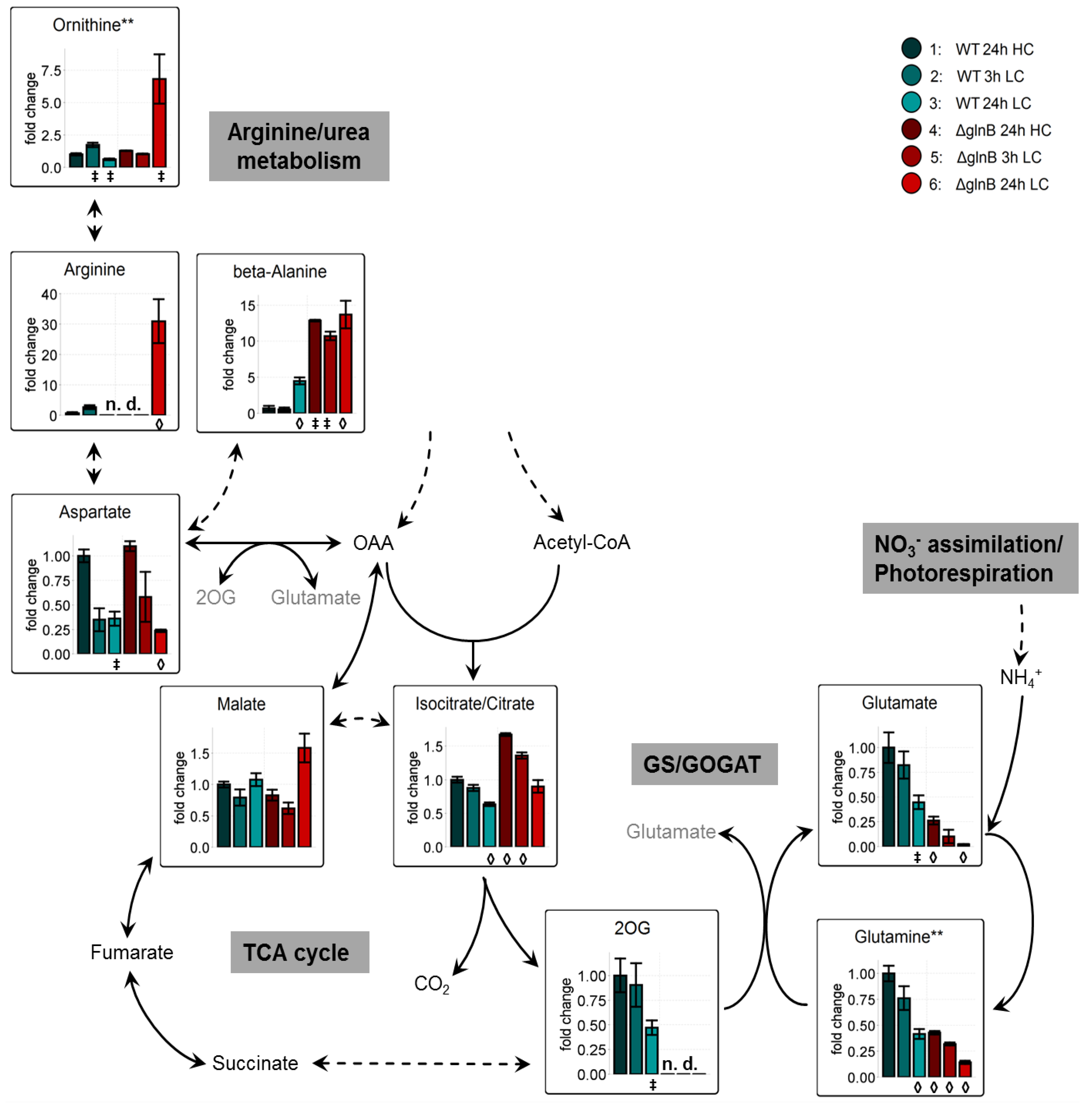 Metabolites 04 00232 g005