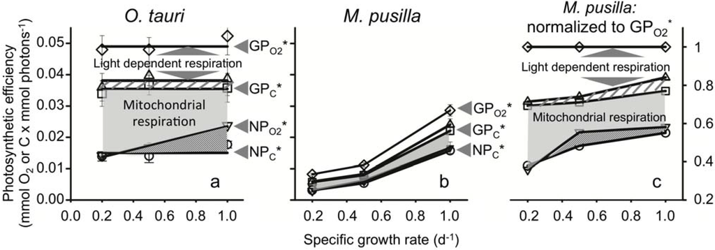 Metabolites 04 00260 g002 1024