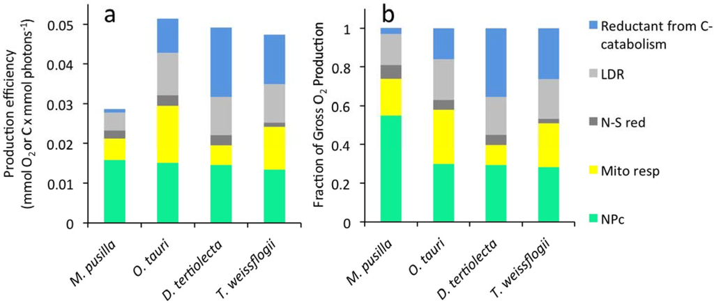Metabolites 04 00260 g003 1024