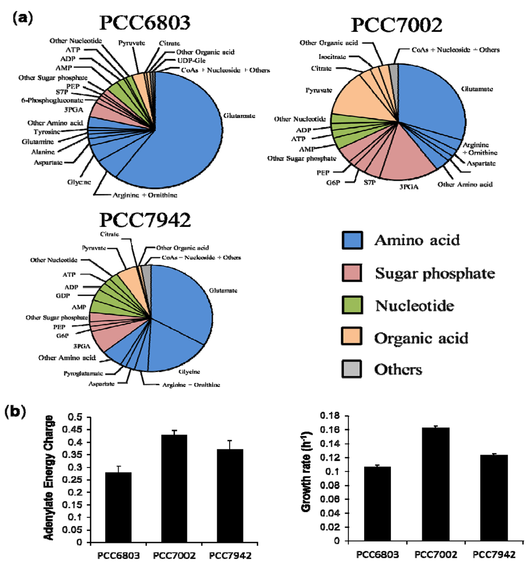Metabolites 04 00499 g003 1024