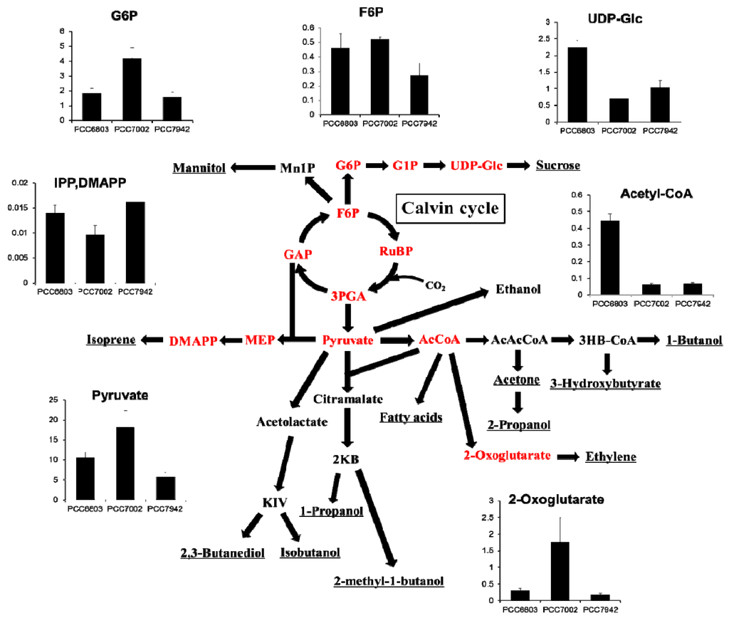 Metabolites 04 00499 g004 1024