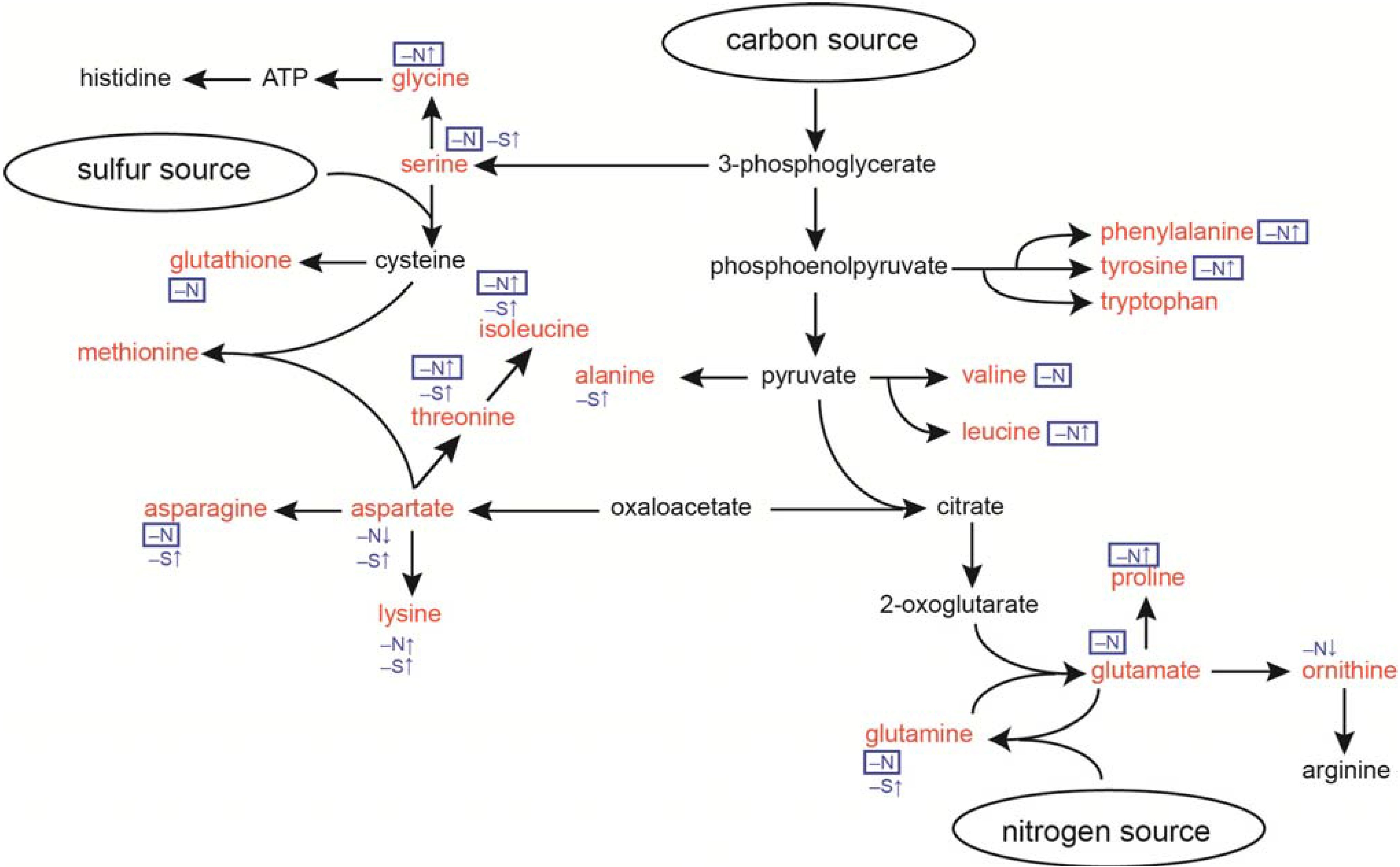 Metabolites 04 00517 g001
