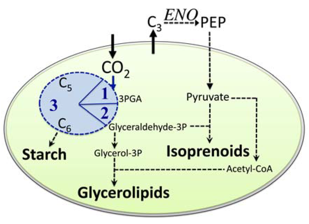 Metabolites 04 00612 g002 1024