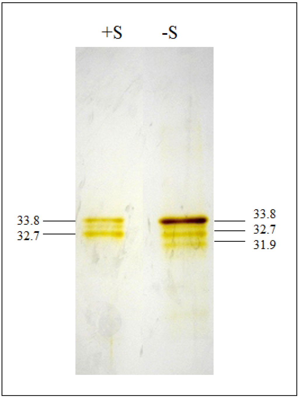 Metabolites 04 00629 g001 1024