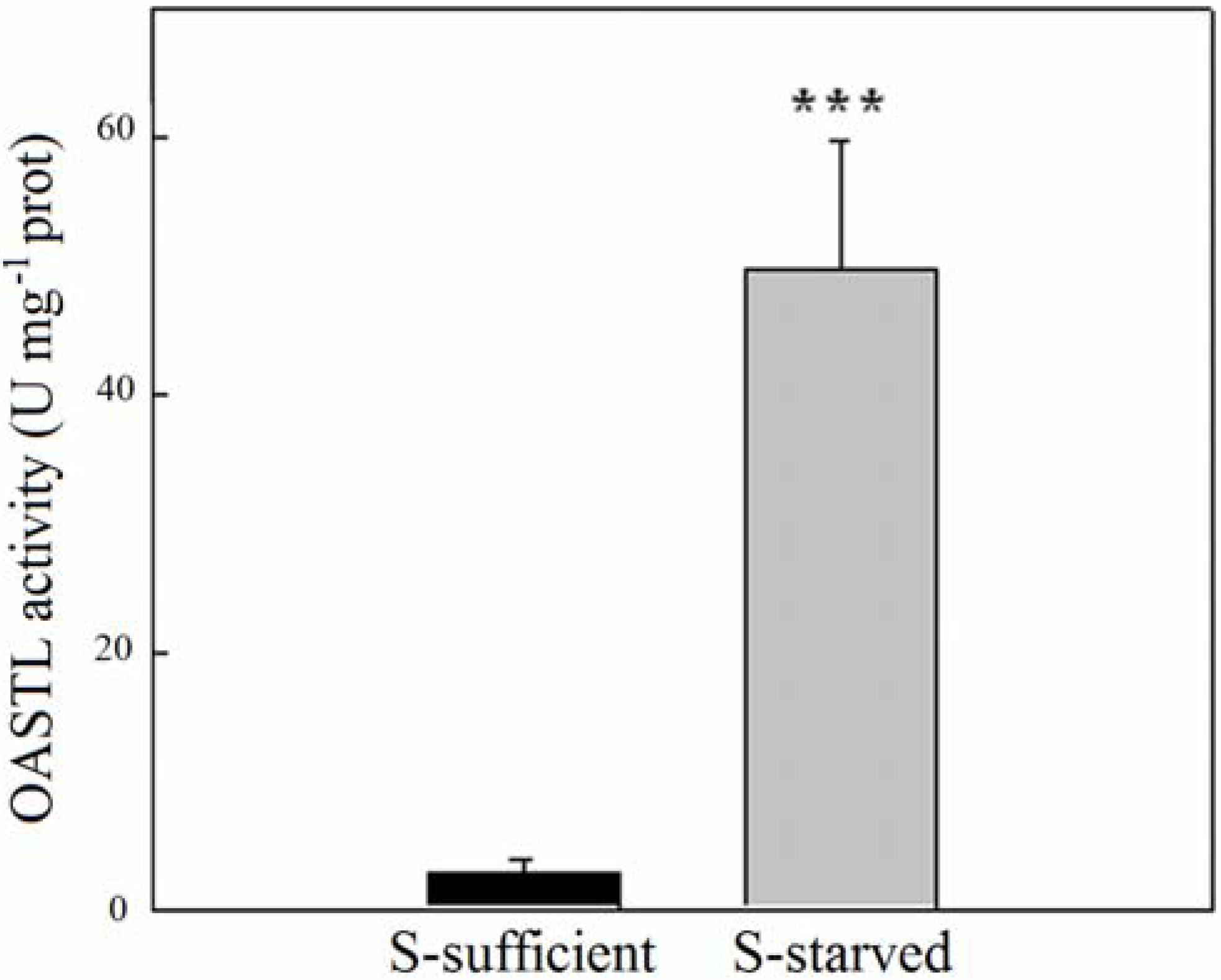 Metabolites 04 00629 g002