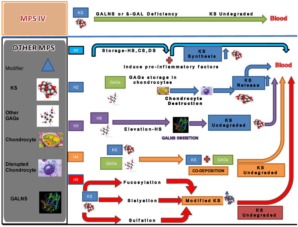 Metabolites 04 00655 g005 1024
