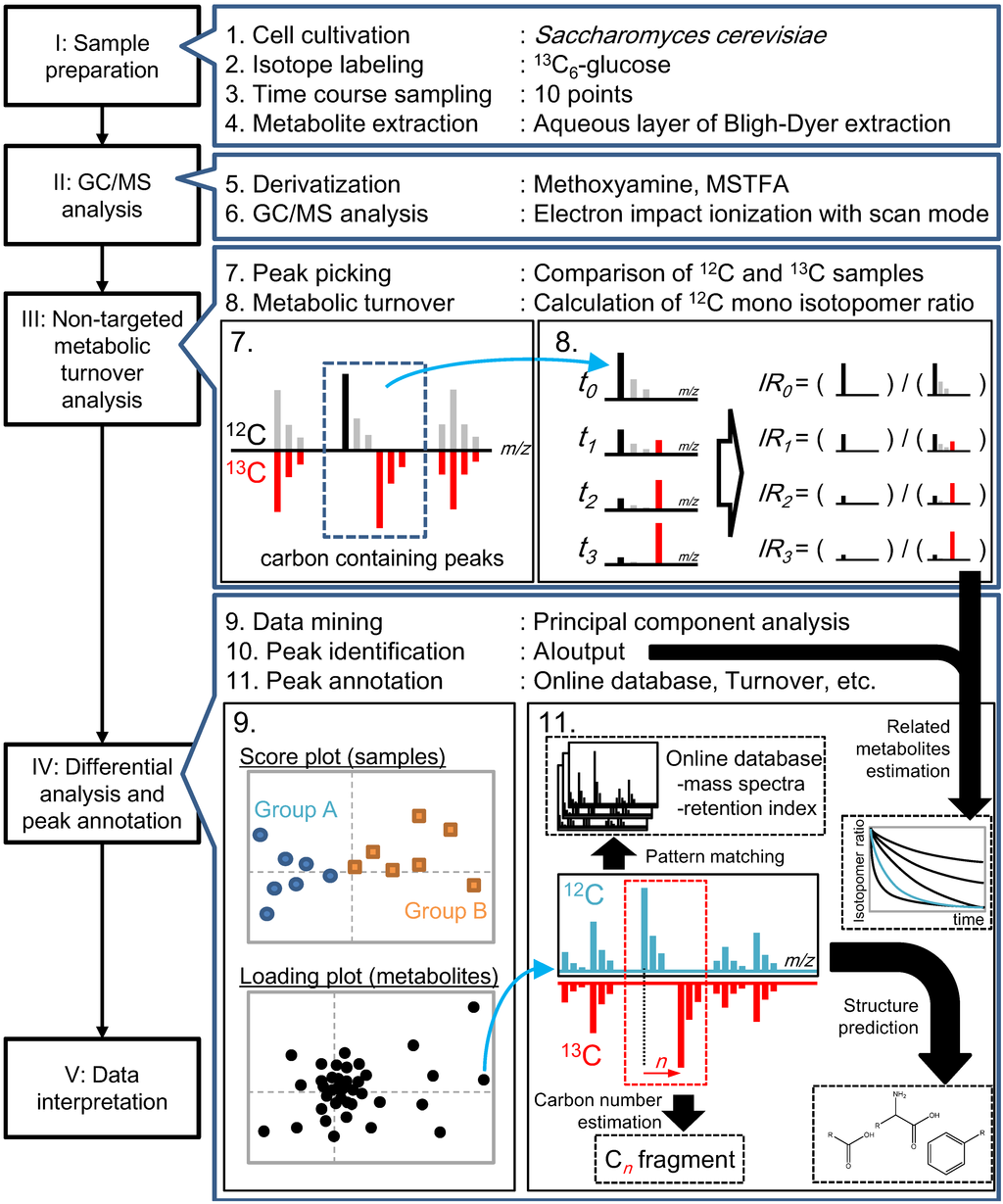 Metabolites 04 00722 g001 1024