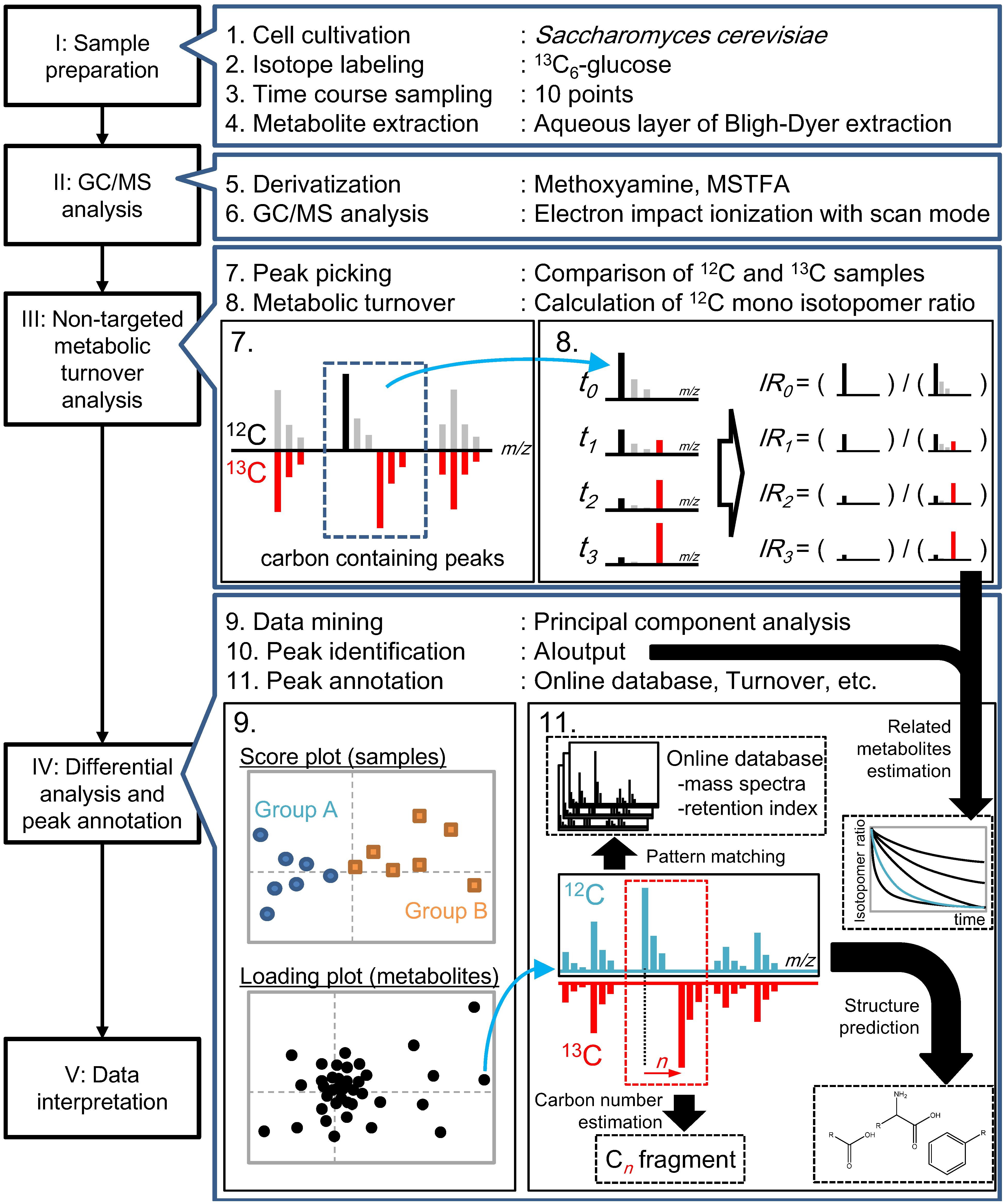 Metabolites 04 00722 g001