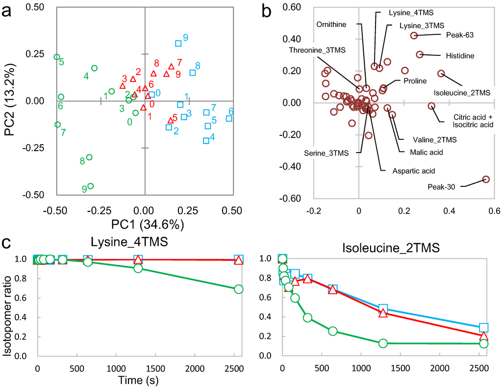 Metabolites 04 00722 g003 1024