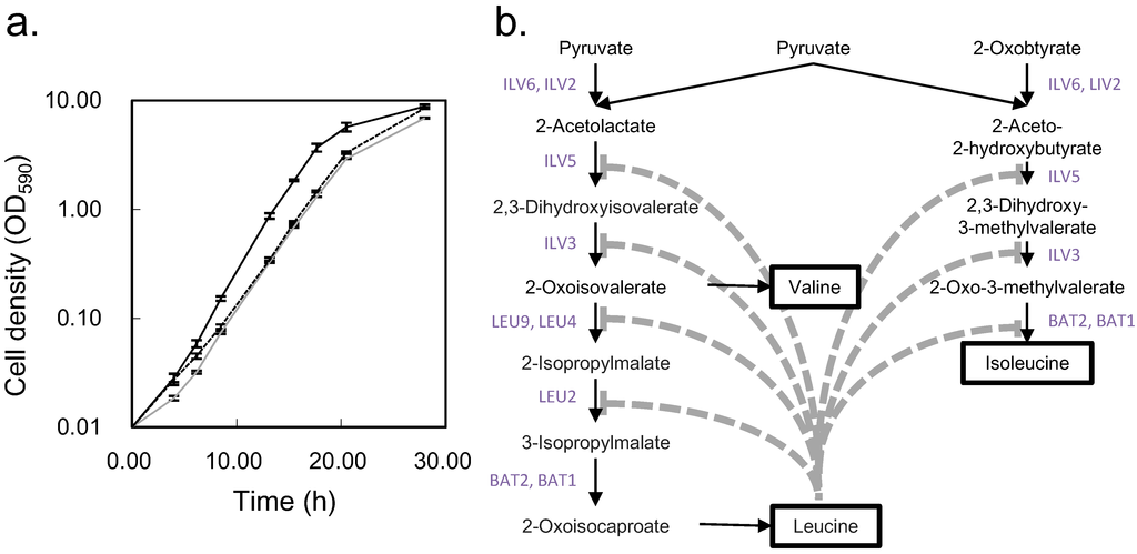 Metabolites 04 00722 g006 1024