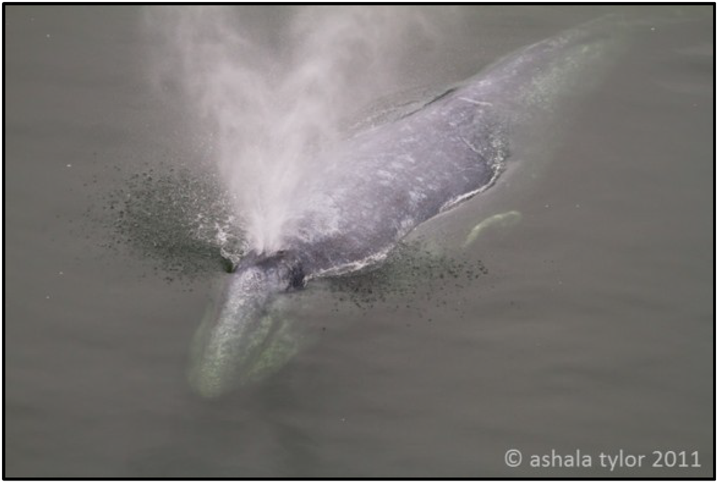 Metabolites 04 00790 g001 1024