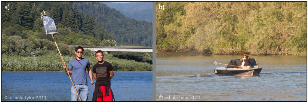 Metabolites 04 00790 g003 1024