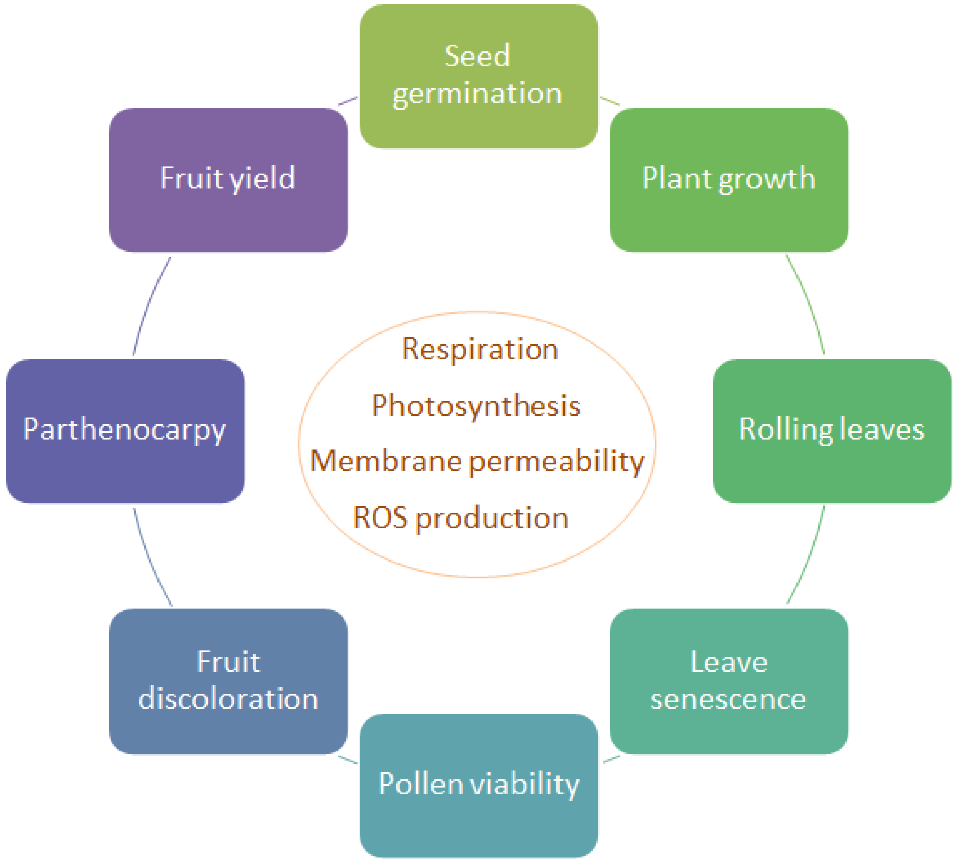 Metabolites 04 00889 g001