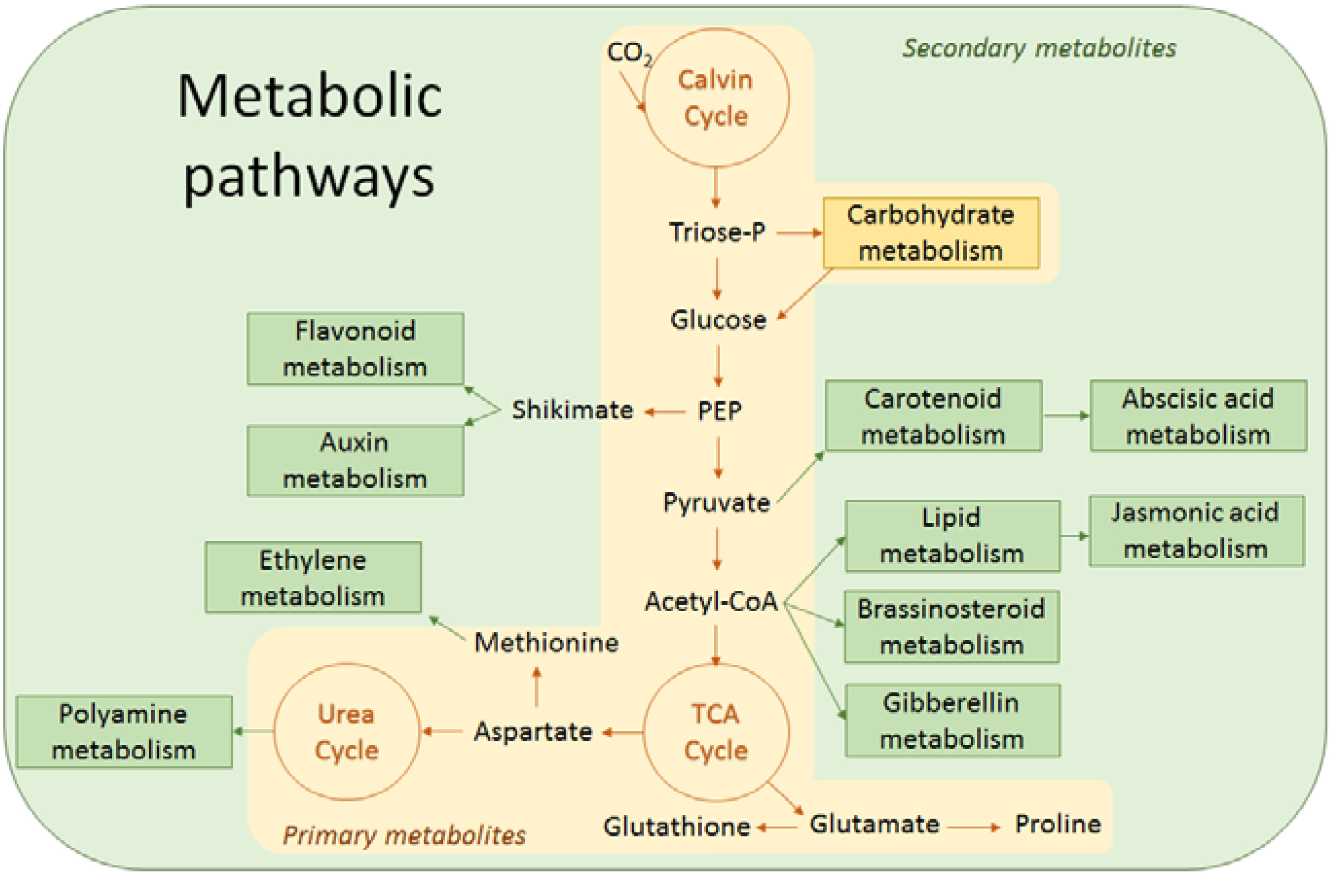 Metabolites 04 00889 g004