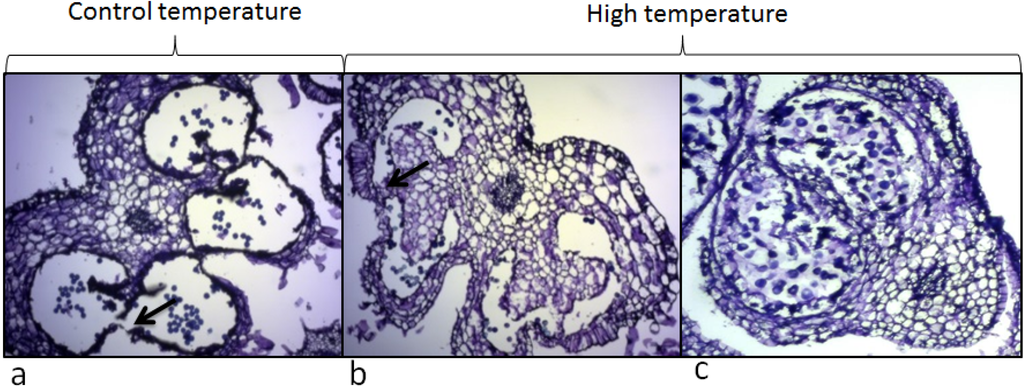 Metabolites 04 00889 g005 1024